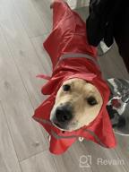 img 1 attached to Stay Stylish And Safe In The Rain With NINEMAX Dog Raincoat - Adjustable Pet Jacket With Reflective Strip For Medium To Large Dogs review by Affan Yeo