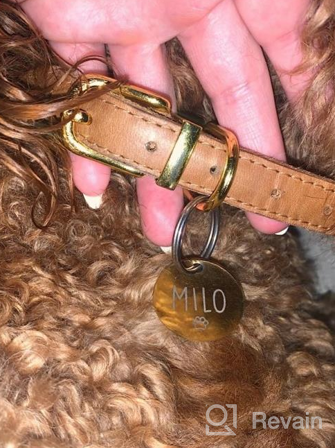 img 1 attached to BRONZEDOG Rolled Leather Dog Collar Durable Round Small Medium Large Dogs Puppy Cat Burgundy Mustard Blue Brown 15-17 Inch Light Brown review by David Shah