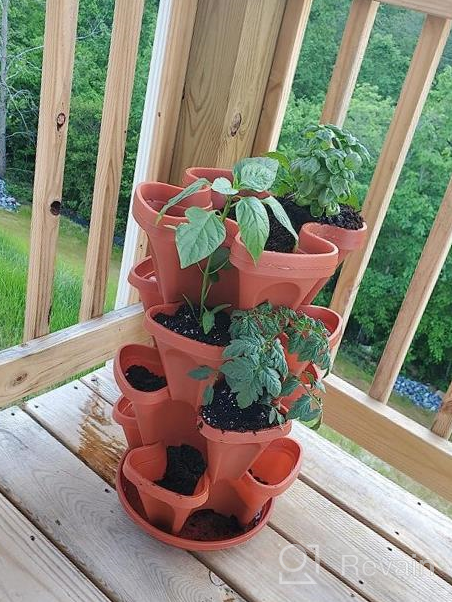 img 1 attached to Maximize Your Strawberry Yield With Mr. Stacky'S 5-Tier Planter Pot - 5 Pots To Grow Even More! review by Ryan Fitch