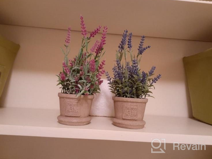 img 1 attached to 2 Pack Lvydec Artificial Lavender Potted Plant - Home Decor Fake Flowers For Bath, Office & Shelf review by John Shitifano