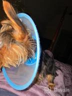 img 1 attached to Adjustable Small Dog Cone – Lightweight Elizabethan Collar For Post-Surgery Recovery (Blue) review by Monica Moody