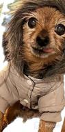 img 1 attached to Warm & Windproof Dog Coats For Small Dogs - LesyPet Grey S review by Bre Marie