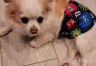 img 1 attached to Washable Male Dog Belly Wraps: Keep Your Pup Clean And Mess-Free With CuteBone Diapers (DM07XS) review by Frank Bruton