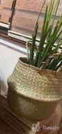 img 1 attached to 3-Piece LE TAUCI Woven Seagrass Plant Baskets - 7+7.8+10.2 Inch, Home Storage & Decor Planter Pot (S+M+L) review by Juan Grayson