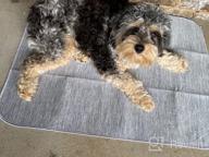 картинка 1 прикреплена к отзыву Обеспечьте своей собаке прохладу этим летом с охлаждающим ковриком LUXEAR Arc-Chill Pet Cooling Mat Q-Max 0,34, ультраабсорбирующим, моющимся и многоразовым! от Chris Jens