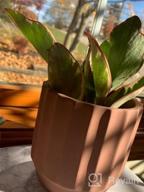 img 1 attached to Set Of 2 Terra Cotta Cement Indoor Plant Pots - 4 Inch Medium Planter Vessels With Drain Hole For Contemporary Decor - Unglazed Pottery By POTEY 202221 review by Tom Oberhue