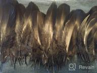 img 1 attached to Sowder Natural Goose Feathers Clothing Accessories Pack Of 50 (Gold Dipped White) review by Justin Kautzman