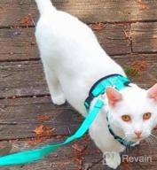 img 1 attached to Adjustable Escape Proof Cat Harness And Leash Set By PUPTECK - Breathable Soft Mesh Vest For Small And Medium Kittens, Ideal For Outdoors With Reflective Strips review by Allison Acosta