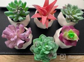 img 8 attached to Bring Home The Beauty Of Lvydec'S Mini-Sized Artificial Succulent Plants In Porcelain Pots - Perfect For Home, Bath, Or Office Decor!