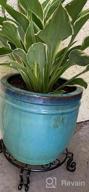 img 1 attached to 4 Pack 10 Inch Big Plant Stands: Perfect For Indoor/Outdoor Tall & Big Planters! review by Chris Thrower
