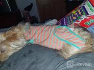 img 1 attached to Dog Recovery Suit After Surgery, 2Nd Edition - Male Female Dog Cats Cone E-Collar Alternative Abdominal Wounds Spay Bandages Onesie Anti-Licking Pet Surgical Snuggly Suit review by Jillian Sparks