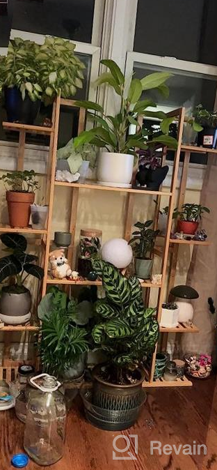 img 1 attached to Indoor Outdoor Flower Pot Rack: 9-Tier Bamboo Shelf Display Holder For 17 Potted Plants, Perfect For Patio, Garden, Balcony, Or Living Room Décor review by Shawn Mortensen