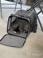 img 1 attached to Viva Magenta Soft Pet Carrier: Perfect Solution For Large And Medium Cats And Small Dogs review by Pete Deutsch