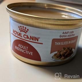 img 5 attached to 6-Pack Of Royal Canin Adult Instinctive Thin Slices In Gravy Wet Cat Food, 3 Oz. - Highly Digestible And Palatable Diet