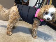 img 1 attached to Gooby Padded Vest Dog Jacket - Solid Pink, Medium - Warm Zip Up Dog Vest Fleece Jacket With Dual D Ring Leash - Water Resistant Small Dog Sweater - Dog Clothes For Small Dogs Boy And Medium Dogs review by David Alvarez
