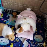 img 1 attached to Small Animal Pet Hideout Hanging Bed: Guinea Pig, Hamster, Rat & More - Perfect Holiday Gift! review by Dan Toliver