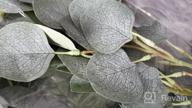 img 1 attached to 2PCS Faux Silk Eucalyptus Garlands - Artificial Greenery Vines For Wedding Backdrop, Wall Decor And Flower Arrangements review by Sam Pullen