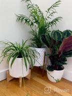 img 1 attached to Bamboo Plant Stand - Mid Century Modern Foldable Indoor Ceramic Pot/Planter Holder review by Antonio Fox