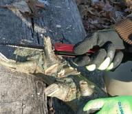 img 1 attached to Get Ready For The Holidays With RoverTac 11-In-1 Multitool Hatchet - Perfect Christmas Gifts For Outdoor Enthusiasts! review by Aaron Clayton