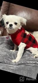 img 6 attached to KYEESE Valentine'S Day Small Dog Sweaters With Leash Hole Turtleneck Dog Knitting Sweater In Heart Leopard Pattern
