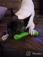 img 1 attached to Indestructible Dog Chew Toys For Large Breeds - Oneisall Bone Chew Toy For Aggressive Chewers review by Kevin Huot