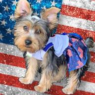 img 1 attached to Petitebella USA Heart Puppy Dog Dress Black Stripes Medium review by Joel Miranda