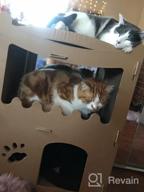 картинка 1 прикреплена к отзыву PETIQUE Cat Villa Cardboard Scratcher Tower, Modern Indoor/Outdoor Cat House Furniture, Planet-Friendly Playground For Cats & Small Dogs от Anthony Bandzz