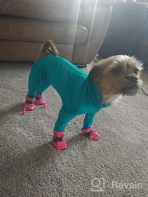 img 1 attached to Small Dog Anti-Slip Boots & Paw Protector With Reflective Straps Winter Snow Booties, 4PCS (2, Blue) review by Steve Yang