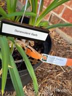 img 1 attached to STARTOSTAR 30-Pack Metal Plant Labels Weatherproof Garden Markers,Height 10.6'', Label Area 3.5''X 1.2'' Reusable Nursery Tags For Vegetables Herb Flower Seed Greenhouse - Zinc review by Jenn Hartman