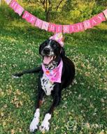 img 1 attached to Make Your Dog'S Birthday Special With GAGILAND Birthday Party Set - Dog Bandana, Hat, Banner & More In Pink With Balloon! review by Jaleel Kadlecik