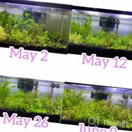 img 1 attached to 12 Count Greenpro Root Tabs Fertilizer Tablets: Ideal For Aquariums, Ponds & Water Gardens! review by Fock Dean