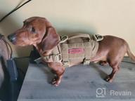 img 1 attached to Tactical Military Dog Harness With Vertical Handle And Durability For Small Puppies - XS (Neck: 11"-17", Chest: 15"-22") review by Darrius Frison