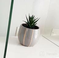 img 1 attached to 🌵 Set of 2 Mini Textured Faux Succulent Picks, Spiky Green Haworthia Cactus, Artificial Mini Aloe, Unpotted (Green) review by Mark Bullock