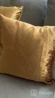 img 1 attached to 2 Pack Of Soft Cushion Covers - GIGIZAZA'S Gold Velvet Decorative Throw Pillow Cover Set For Sofa Bed review by Kathleen Roy