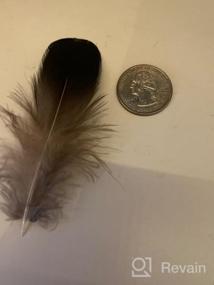img 5 attached to LolliBeads (TM) 20 Pcs Green Lady Amherst Bronze Iridescent Plumage Feathers Inches Long 2-3 Inches