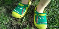 img 1 attached to 🦕 Adorable RJVW Dinosaur Slippers for Toddlers: Comfortable Cartoon Boys' Shoes in Clogs & Mules review by Sean Chambers
