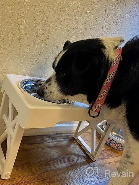 img 1 attached to Adjustable Elevated Dog Bowl Stand With Slow Feeder – Perfect For Dogs Of Any Size review by Scott Bailey
