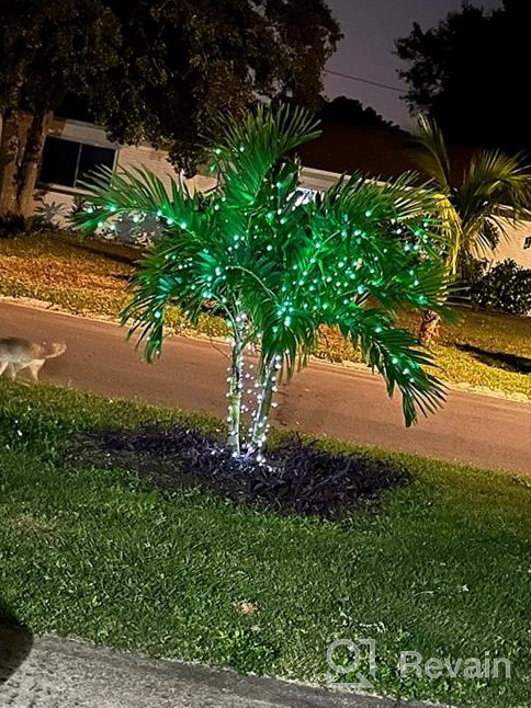 img 1 attached to Multi-Color Solar Christmas Lights 2 Pack 72Ft 200 LED Outdoor String Lights Waterproof For Indoor Gardens Xmas Trees Homes Weddings Parties Decor review by Jose Cox