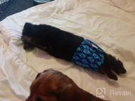 img 1 attached to CuteBone Male Dog Potty Training Belly Band, Leakproof Comfort 3-Pack (DM09XS) review by Keith Stuckey