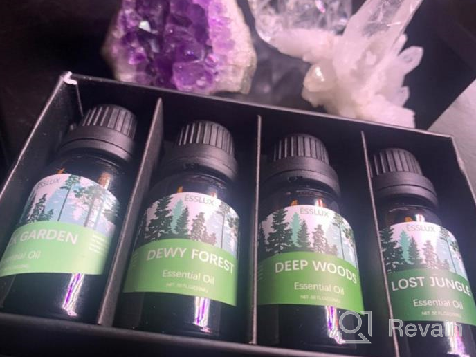 img 1 attached to Premium Woodsy Essential Oils Gift Set From ESSLUX Forest Collection For Diffuser, Home Fragrance, And Soap Candle Making - High-Quality Essential Oils Blend review by Amanda Kou