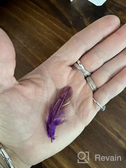 img 1 attached to 100Pcs 2-3In Color Feathers Bulk Pack For Dream Catcher Crafts Decoration - Piokio review by Steven Doty