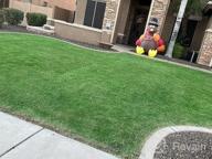 img 1 attached to Revitalize Your Lawn With Endurant Green Grass Paint – Eco-Friendly And Pet-Safe Solution For Dry Or Patchy Lawn review by Donia Carey