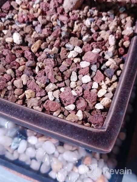 img 1 attached to Bonsai Soil Premium By Tinyroots - Organic Soil Mix, Excellent For Water Retention And Root Development + Made From Genuine Akadama, Red Lava Rock And Pumice (2.5 Gallon) review by Julie Brown