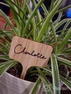 img 1 attached to 50-Pack Mziart T-Type Bamboo Plant Labels With Waterproof Marker Pen - Ideal Wooden Garden Markers For Seeds, Potted Flowers, Herbs, And Vegetables (4 X 2.36 Inch) review by Mario Haan