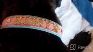 img 1 attached to Pink Personalized Dog Collar With Rhinestones - Custom Name Letters For Small & Medium Dogs (5/8 Inch X 10-13 Inches) review by Byron Lucas