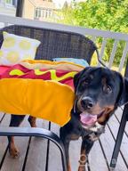 img 1 attached to Large Rasta Imposta Hot Dog Halloween Costume review by Charles Dean