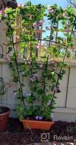 img 6 attached to 2Pcs 15Ft Morning Glory Artificial Vines - Perfect For Outdoor Wedding Hanging Baskets Decor!