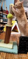 img 1 attached to Sturdy Double Base Plate Cat Scratching Post With Self Groomer - Ideal For Indoor Kittens, Jaoul 21 Design review by Max Guerrero