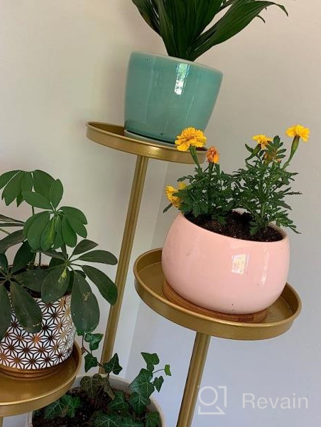 img 1 attached to 🌵 Jusalpha Large Porcelain Succulent Cactus Planter with Drainage Hole & Bamboo Saucer for Indoor Plants, Planter 07 (Pink) review by Paul Vanlaere
