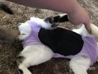 img 1 attached to 🐱 Surgical Abdominal Wound Recovery Suit for Cats - Indoor Pet Clothing & E-Collar Alternative Pajama Suit After Surgery review by Scott Gendron